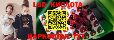 ГАЛЛЮЦИНОГЕННЫЕ ГРИБЫ Кандалакша