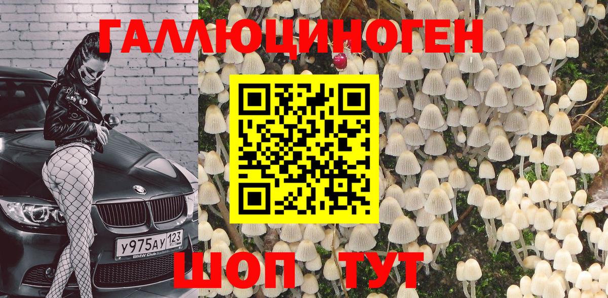 Галлюциногенные грибы GOLDEN TEACHER  Вход с VPN  Галлюциногенные грибы прущие грибы  Кувандык 